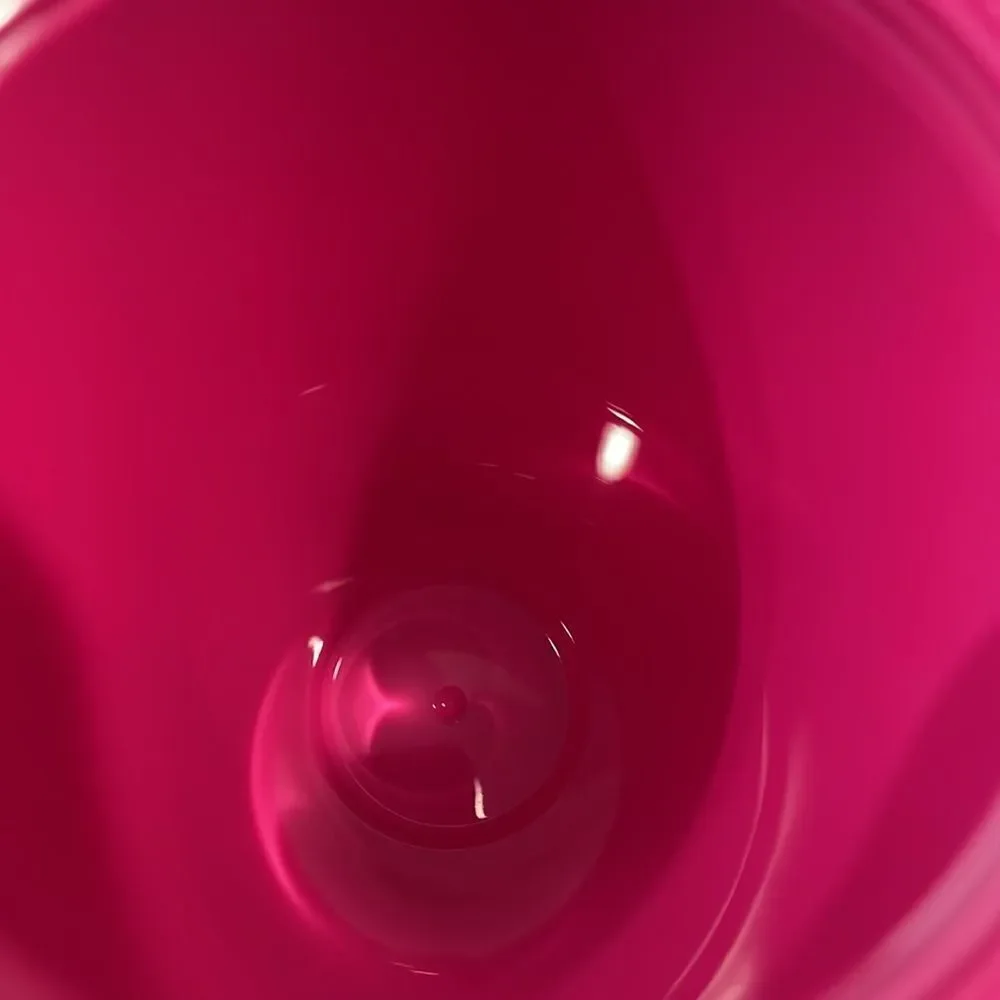 NWT Starbucks Fall 2021 Neon pink jelly tumbler